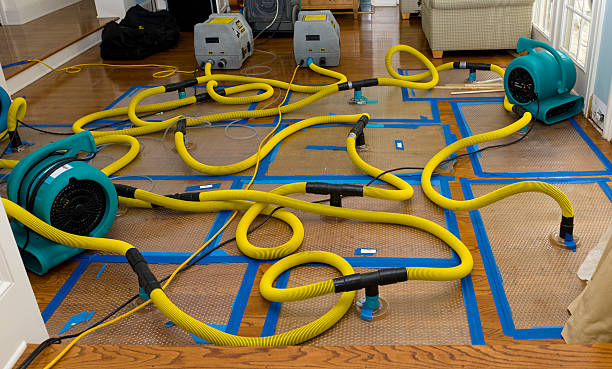 Professional Water Damage Repair technician working in Pompton Lakes, NJ